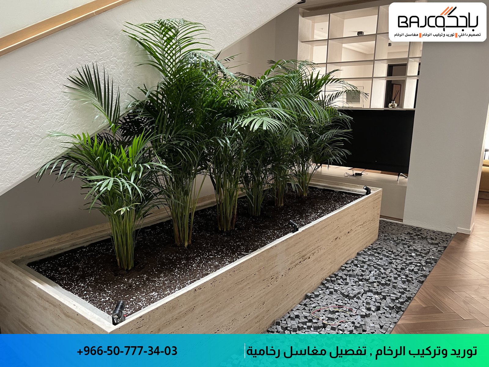 جدارية ديكور من الرخام بيج اللون تحتوي على نباتات استوائية خضراء وحصى سوداء داخل حوض مستطيل، موجودة في ديكور داخلي معاصر
